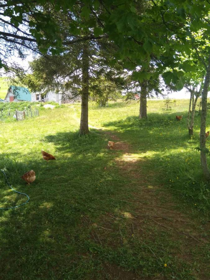 Family Farm Jezera Guest House Zabljak  Exterior photo